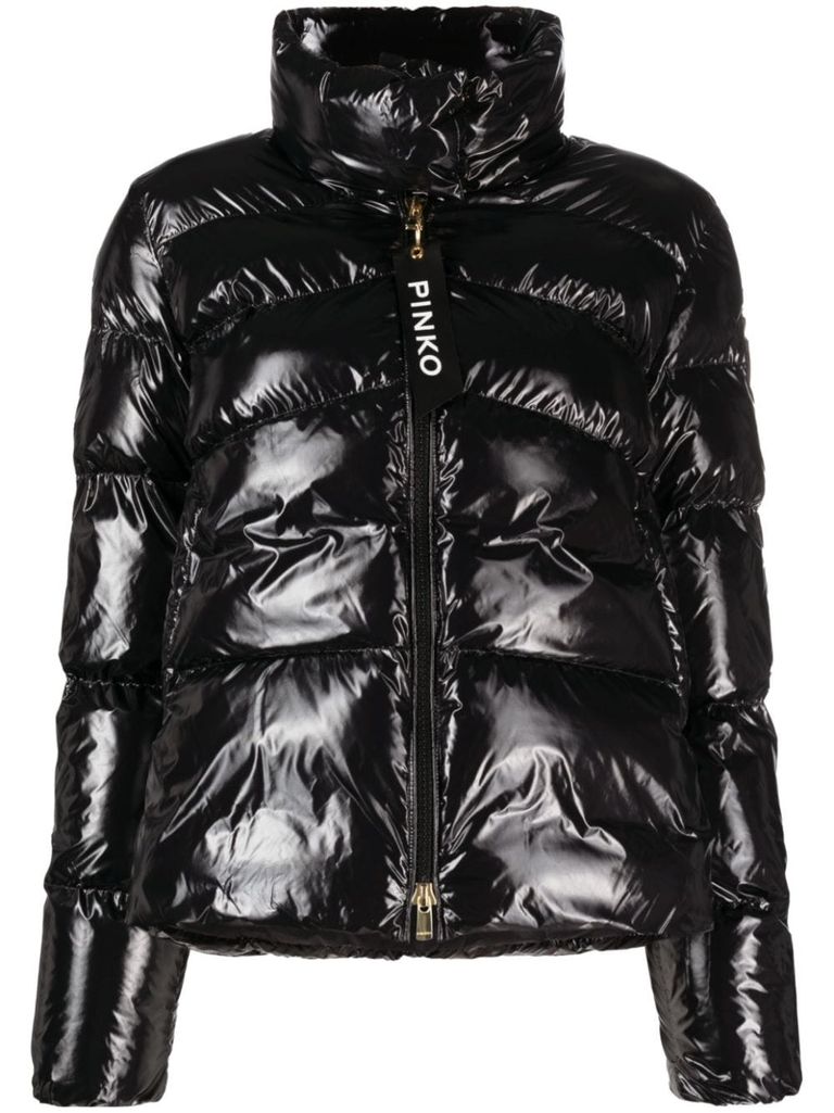 Pinko 2025 down jacket