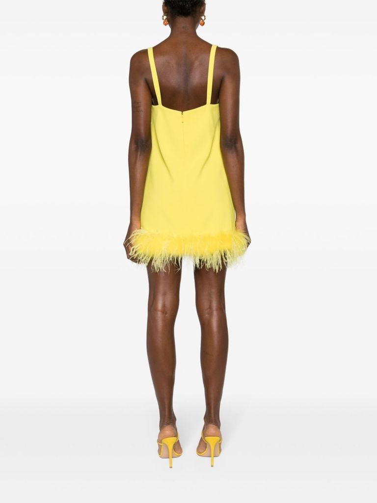 Dress with feathers