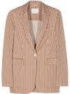 circolo 1901 - Blazer motivo righe