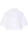 Cotton crop shirt with wavy appliqué