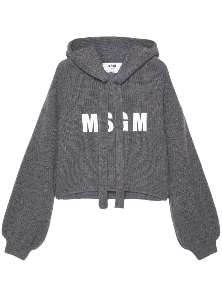 Shop Msgm Chest Logo Embroidered Hoodie In White