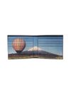 Signature Stripe Balloon Mount Fuji Cardholder