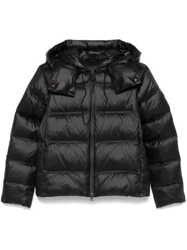 Kenid short black padded puffer jacket