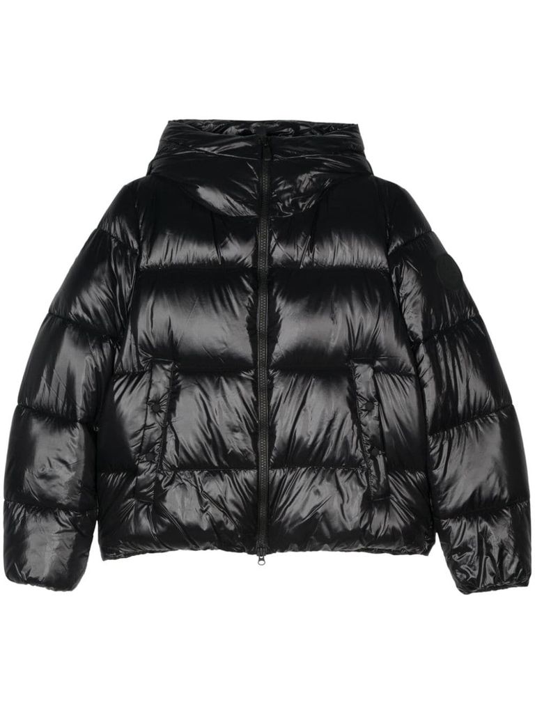 Shop Save The Duck Short Quilted Biddy Puffer Jacket In Black