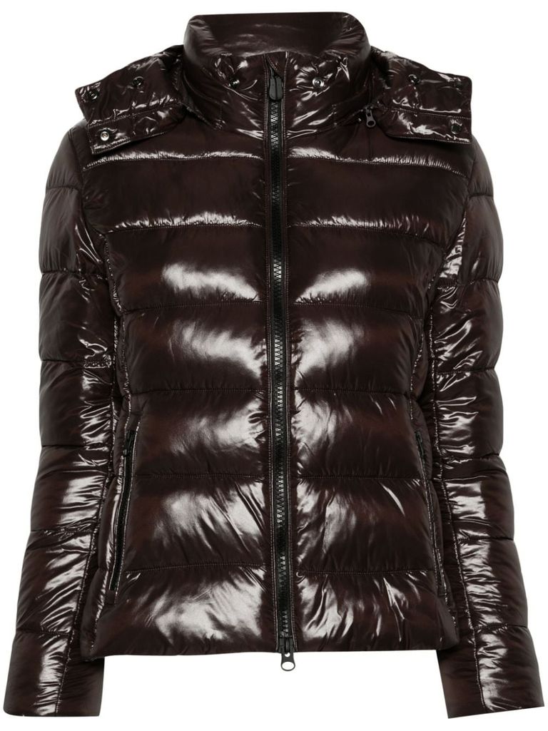 Shop Save The Duck Cosmary Puffer Jacket In Brown