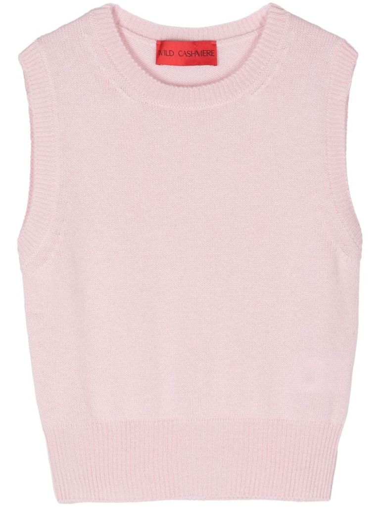 Shop Wild Cashmere Sasha Sleeveless Sweater In Cashmere In Pink