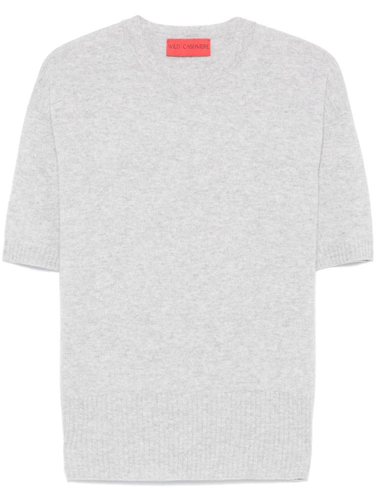 Shop Wild Cashmere Kylie Short-sleeve Sweater In Wool And Cashmere In Grey