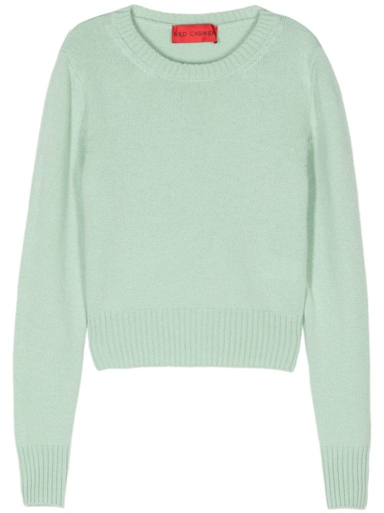 Shop Wild Cashmere Simona Cashmere Sweater In Green