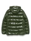 save the duck - Short green quilted and padded Maxime puffer jacket - 1