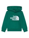 the north face - Felpa in cotone verde con cappuccio e logo bianco