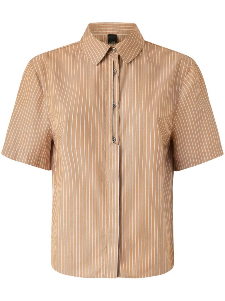 Shop Pinko White Striped 'hinnuendo' Shirt In Brown