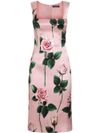 dolce & gabbana - Blush pink dress with floral print