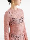 dolce & gabbana - Fitted semi-sheer pink lace dress - 4