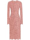 dolce & gabbana - Fitted semi-sheer pink lace dress