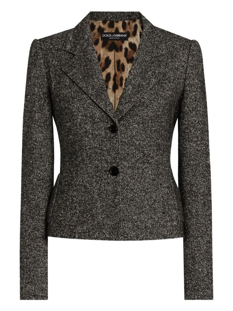 Dolce & Gabbana Jacket With Melange Effect In Gray